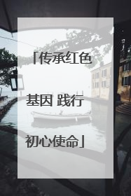 传承红色基因 践行初心使命