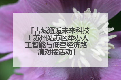 古城邂逅未来科技！苏州姑苏区举办人工智能与低空经济路演对接活动