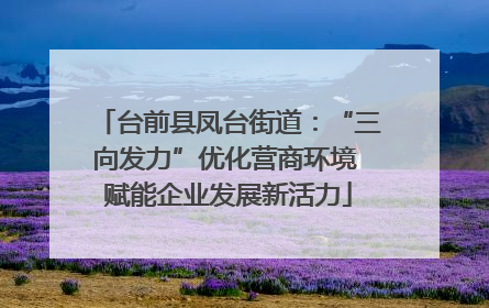 台前县凤台街道：“三向发力”优化营商环境 赋能企业发展新活力