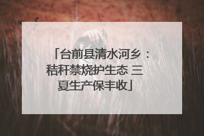 台前县清水河乡：秸秆禁烧护生态 三夏生产保丰收