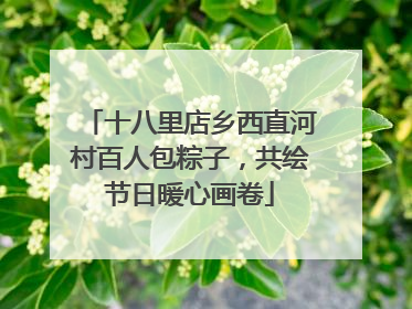 十八里店乡西直河村百人包粽子，共绘节日暖心画卷