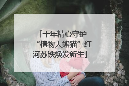 十年精心守护 “植物大熊猫”红河苏铁焕发新生