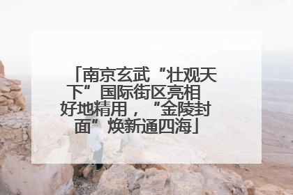 南京玄武“壮观天下”国际街区亮相 好地精用，“金陵封面”焕新通四海