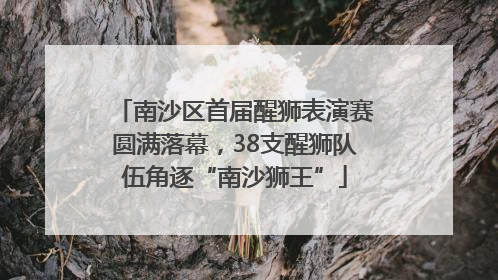 南沙区首届醒狮表演赛圆满落幕，38支醒狮队伍角逐“南沙狮王”