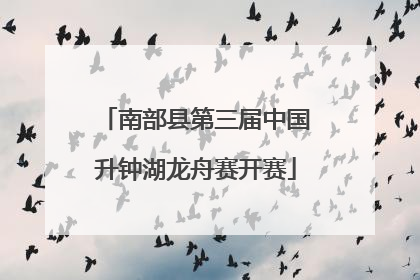 南部县第三届中国升钟湖龙舟赛开赛