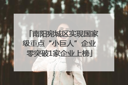 南阳宛城区实现国家级重点“小巨人”企业零突破1家企业上榜