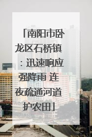 南阳市卧龙区石桥镇：迅速响应强降雨 连夜疏通河道护农田