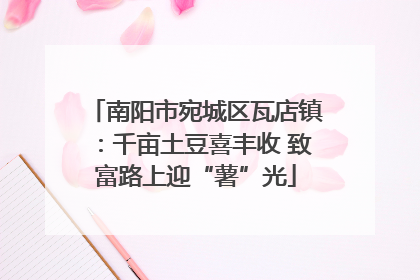 南阳市宛城区瓦店镇：千亩土豆喜丰收 致富路上迎“薯”光
