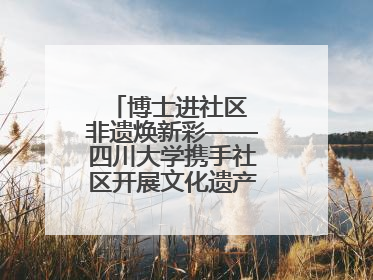 博士进社区 非遗焕新彩——四川大学携手社区开展文化遗产日特别活动