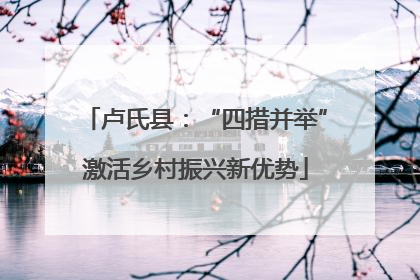 卢氏县：“四措并举”激活乡村振兴新优势