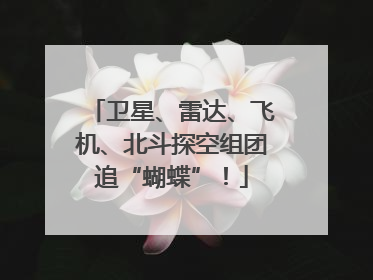 卫星、雷达、飞机、北斗探空组团追“蝴蝶”！
