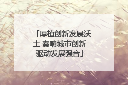 厚植创新发展沃土 奏响城市创新驱动发展强音