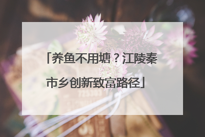 养鱼不用塘？江陵秦市乡创新致富路径