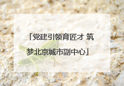党建引领育匠才 筑梦北京城市副中心