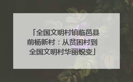 全国文明村镇临邑县前杨新村：从贫困村到全国文明村华丽蜕变