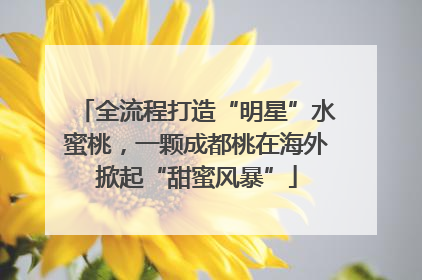 全流程打造“明星”水蜜桃，一颗成都桃在海外掀起“甜蜜风暴”