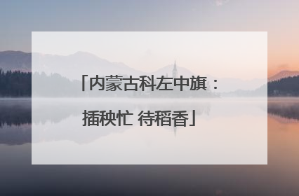 内蒙古科左中旗：插秧忙 待稻香