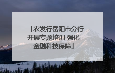 农发行岳阳市分行开展专题培训 强化金融科技保障