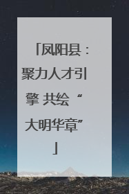 凤阳县：聚力人才引擎 共绘“大明华章”