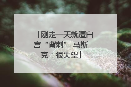 刚走一天就遭白宫“背刺” 马斯克：很失望