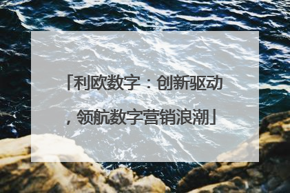 利欧数字：创新驱动，领航数字营销浪潮