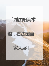 到沈阳美术馆，看法国画家大展