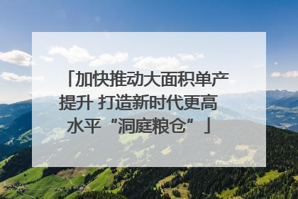 加快推动大面积单产提升 打造新时代更高水平“洞庭粮仓”