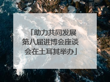 助力共同发展 第八届进博会座谈会在土耳其举办