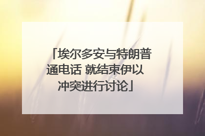 埃尔多安与特朗普通电话 就结束伊以冲突进行讨论