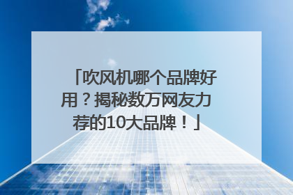 吹风机哪个品牌好用？揭秘数万网友力荐的10大品牌！