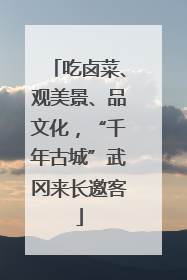 吃卤菜、观美景、品文化，“千年古城”武冈来长邀客