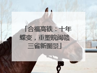 合福高铁：十年蝶变，重塑皖闽赣三省新图景