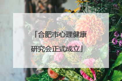 合肥市心理健康研究会正式成立