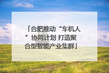 合肥推动“车机人”协同计划 打造聚合型智能产业集群