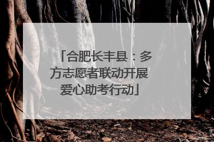 合肥长丰县：多方志愿者联动开展爱心助考行动
