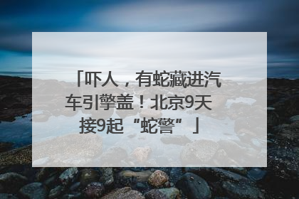 吓人，有蛇藏进汽车引擎盖！北京9天接9起“蛇警”