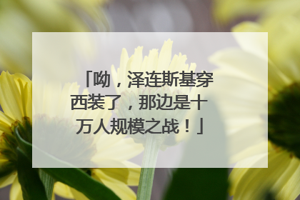 呦，泽连斯基穿西装了，那边是十万人规模之战！