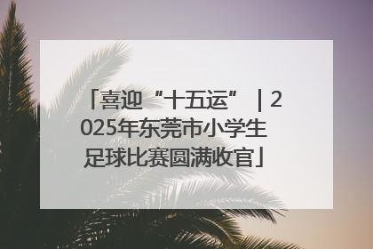 喜迎“十五运”｜2025年东莞市小学生足球比赛圆满收官