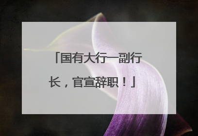 国有大行一副行长，官宣辞职！