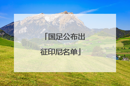 国足公布出征印尼名单