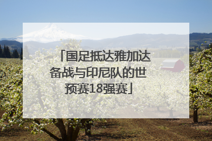 国足抵达雅加达备战与印尼队的世预赛18强赛