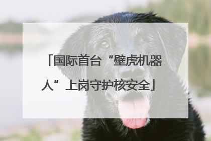 国际首台“壁虎机器人”上岗守护核安全