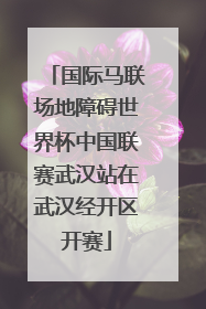 国际马联场地障碍世界杯中国联赛武汉站在武汉经开区开赛