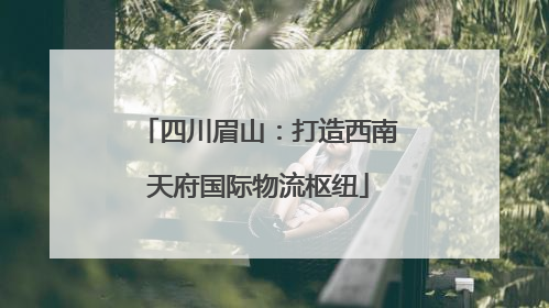 四川眉山：打造西南天府国际物流枢纽