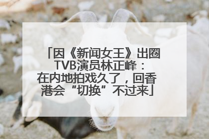 因《新闻女王》出圈 TVB演员林正峰：在内地拍戏久了，回香港会“切换”不过来