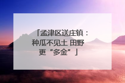 孟津区送庄镇：种瓜不见土 田野更“多金”
