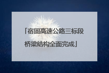 宿固高速公路三标段桥梁结构全面完成