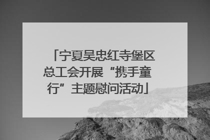 宁夏吴忠红寺堡区总工会开展“携手童行”主题慰问活动