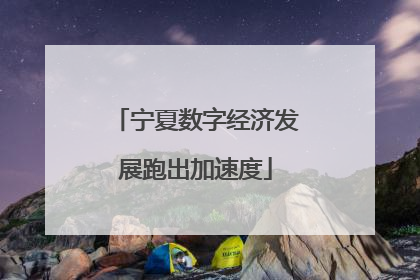 宁夏数字经济发展跑出加速度
