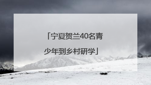 宁夏贺兰40名青少年到乡村研学